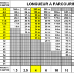 puissance max section 5g4mm2
